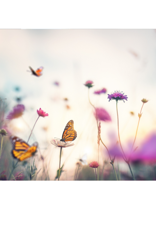 Slowing Down with Purpose – Why Pottering Is Powerful 🦋
