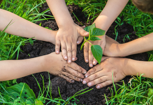 5 Fun & Sustainable Activities For Kids