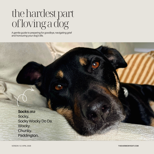 The Hardest Part of Loving a Dog - A Free Guide